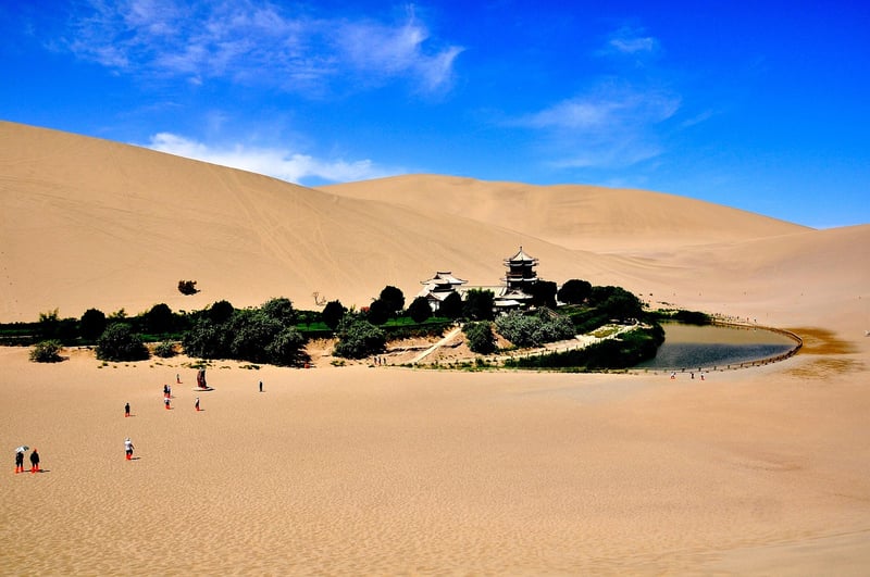 Desert Oasis