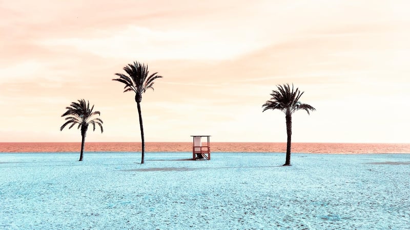 Palm Trees Paradise